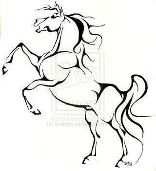 Horse Rearing Up Drawing