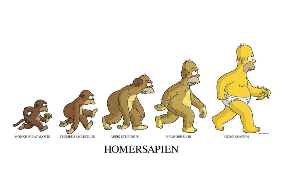evolution of Homersapien