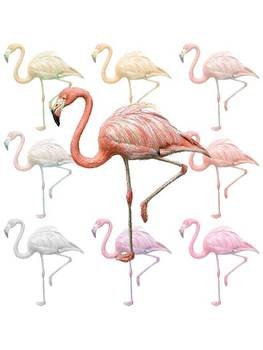 Flamingo Clip Art N49