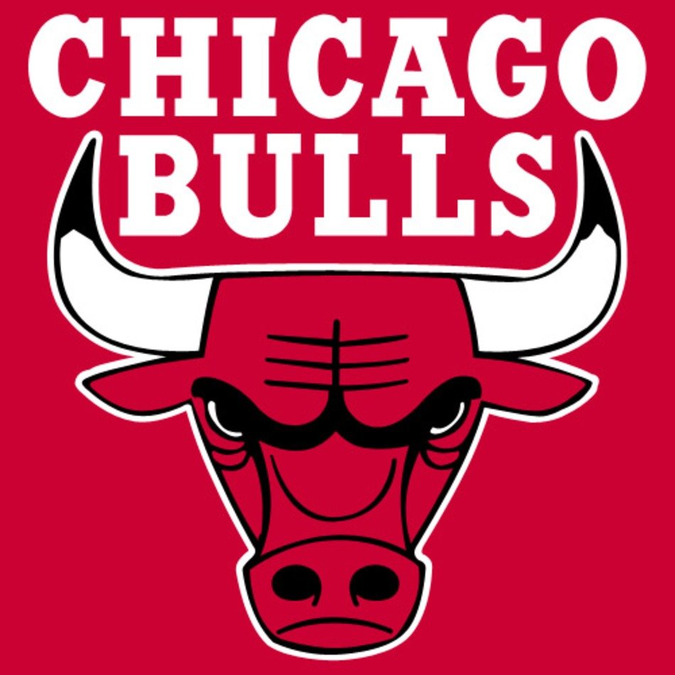 Chicago Bulls Logo N11