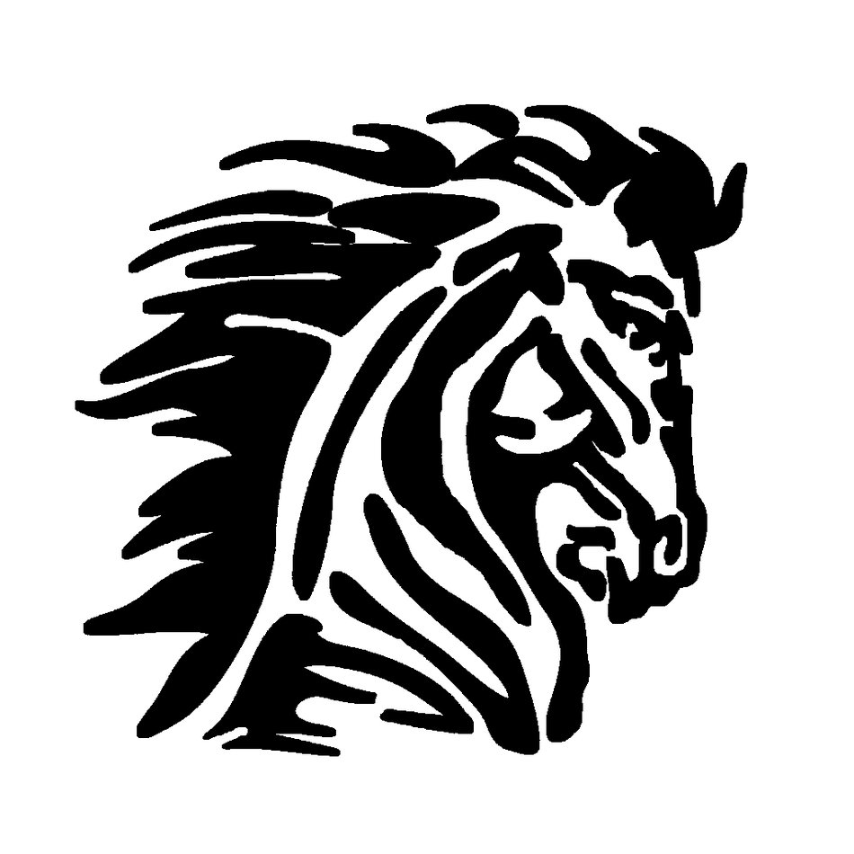 head of a noble mustang as picture