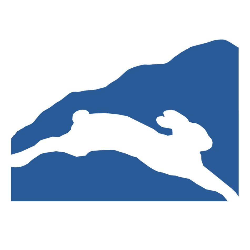 Snowshoe Mountain Logo N2