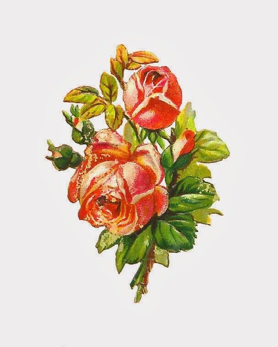 Free Clip Art Pink Roses Flowers N2