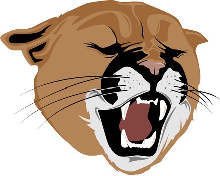 Cougar Growling