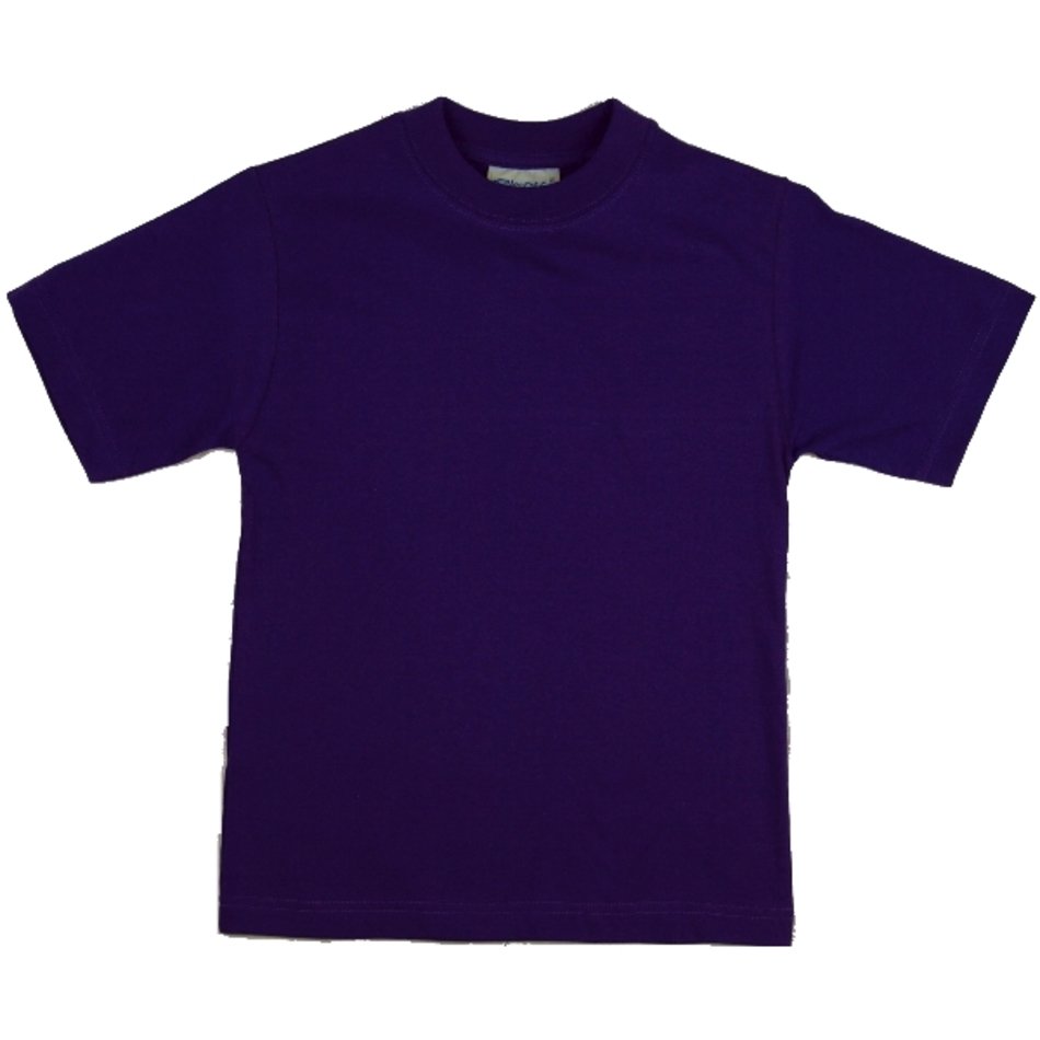 Plain Purple T Shirt