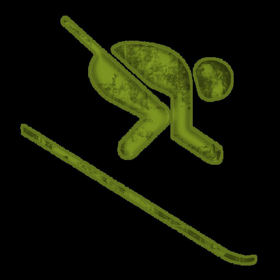 Downhill Skiing Icon 045214