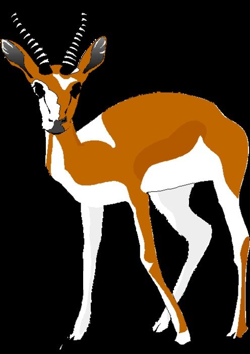 Cartoon Gazelle Clip Art