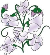 Sweet Pea Flower Clip Art Free N2