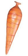 drawing of carrots without green leaves