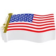 Awesome American Flag N3