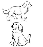 Dog Coloring Pages N9