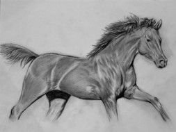 pencil drawing running horse