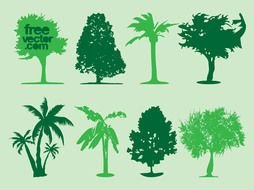 silhouettes of trees of different species on a green background