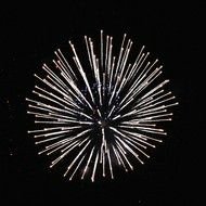 Beautiful black and white fireworks clipart