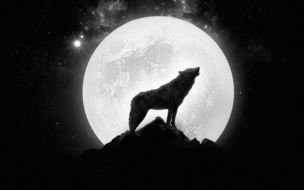 drawing of Wolf Howling At Full Moon