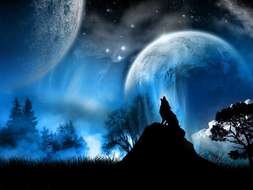 Wolf Howling At Moon drawing