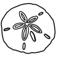 Sand Dollar Clip Art N13
