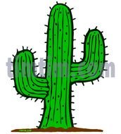 Cactus Drawings N3