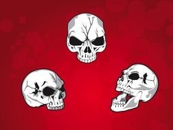 Man Skull drawing