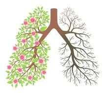 Stop Smoking Clip Art drawing