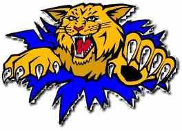 Wildcat Logo Clip Art N13