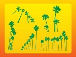 different palm trees as a graphic illustration
