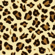 Cheetah Print Pattern drawing