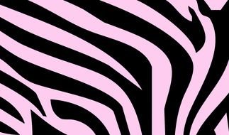 Zebra Print pink drawing