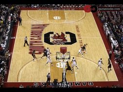 Carolina Gamecocks drawing