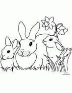 Black and white drawing of the bunnies near the grass and flowers clipart