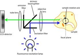 microscope structure in colorful pictures