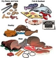 Protein Food Group N2