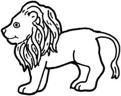 profile of a lion drawn with a felt-tip pen