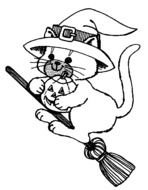 cat on a witch's broom