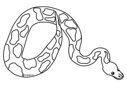 big Snake Coloring Page drawing