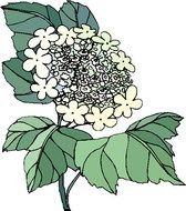 De Flores Cliparts Primavera Florais Clipart Flor N3