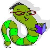 Bookworm N6