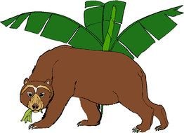 bear under a palm tree as a graphic image
