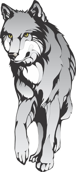 Beautiful drawing of the wolf clipart