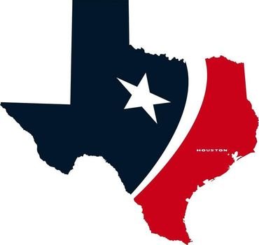 Houston Texans Logo Clip Art N4