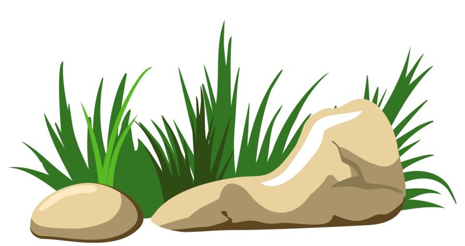 stones in the grass as a graphic illustration
