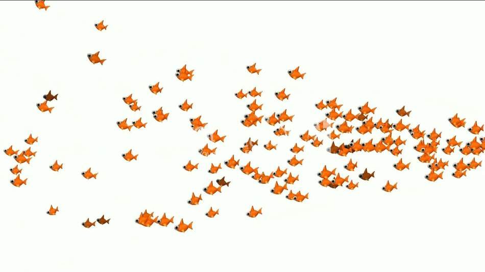 orange leafe drawing