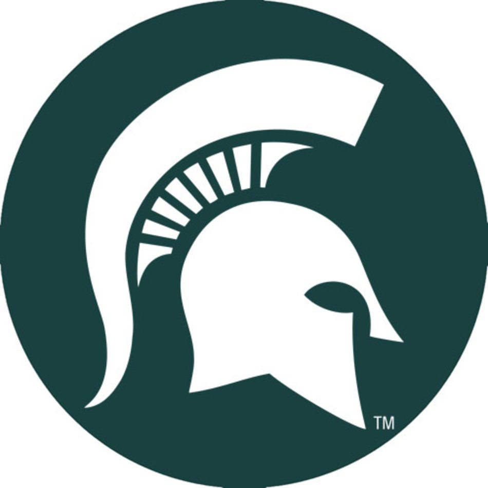 Michigan State Logo N3