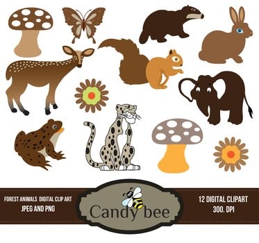 Forest Animal Clip Art N10