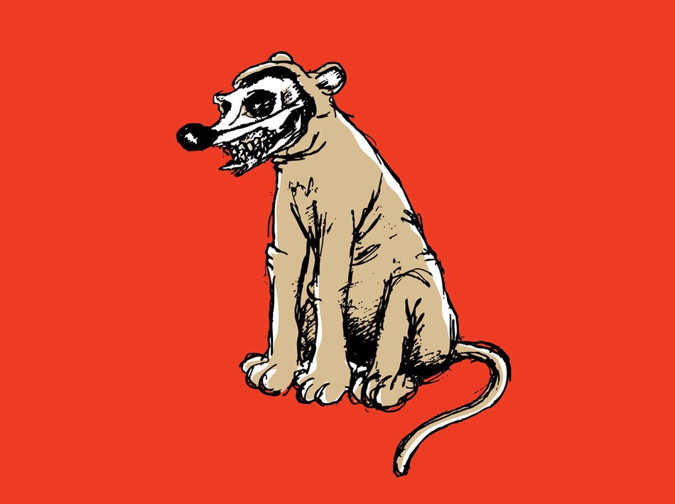 Scary Animal Drawings N2