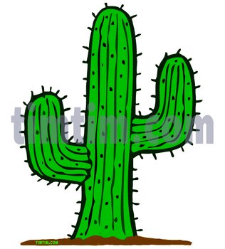 Cactus Drawings N3