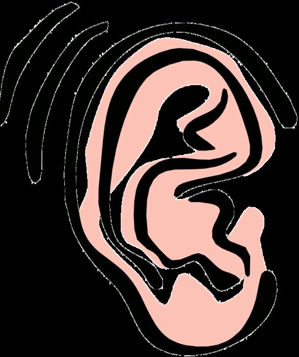 drawing of a human ear on a black background