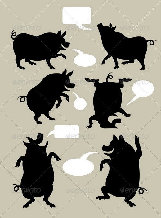 Show Pig Silhouette N5