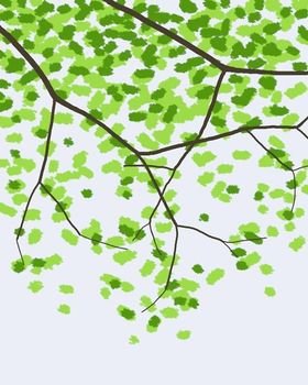 Tree Canopy