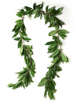Hawaiian Lei Border N3